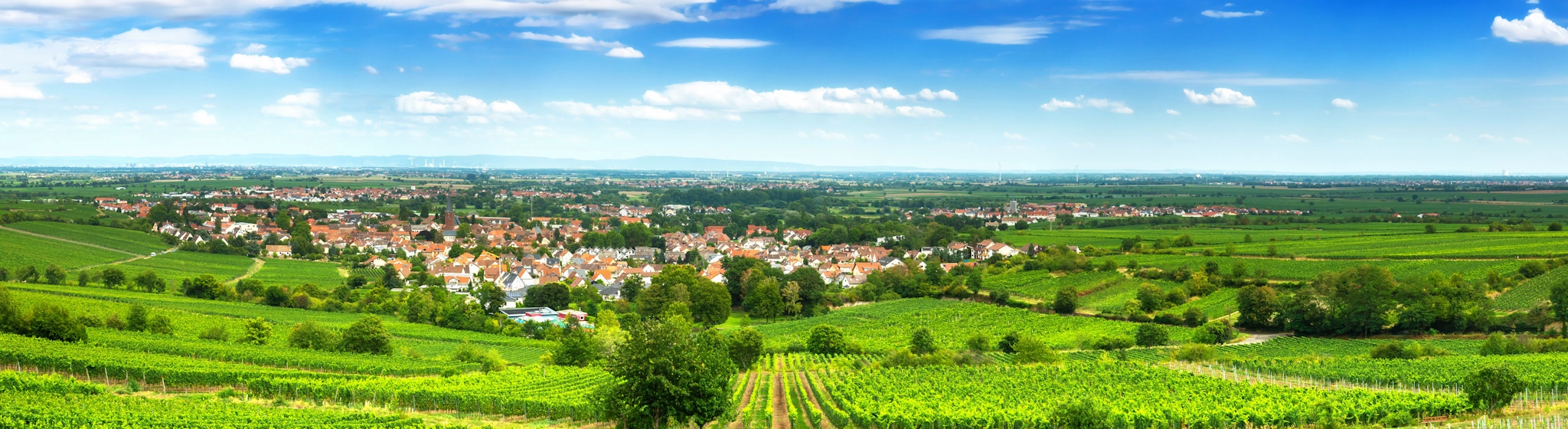 Ihr Immobilienmakler in der Pfalz » GARANT Immobilien